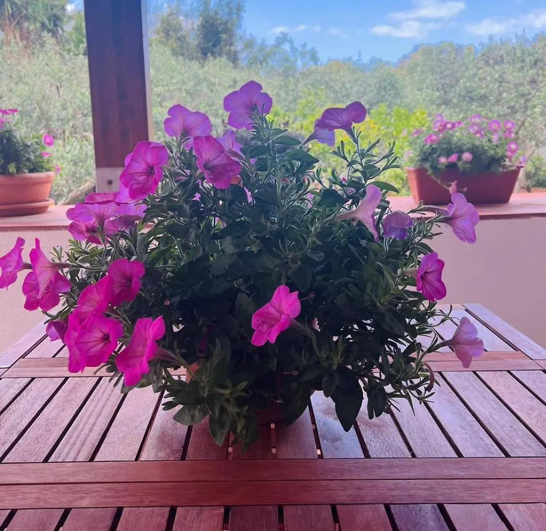 Casa A Mare La Stalletta Palermo Holiday home